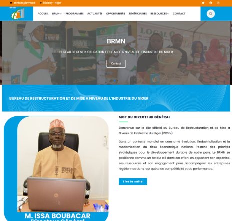 Aperçu : Site du Bureau de Restructuration et de Mise à Niveau (BRMN)